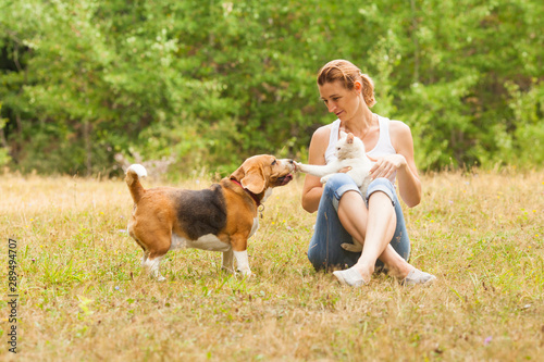 Konstfotografi Pets playing with each other near their owner