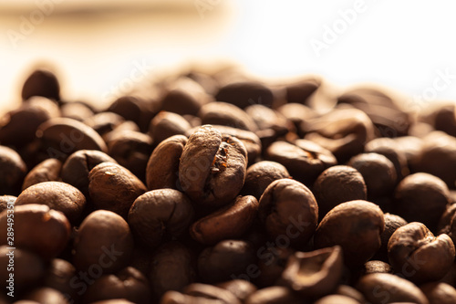 coffee beans with backlit (ID: 289495351)