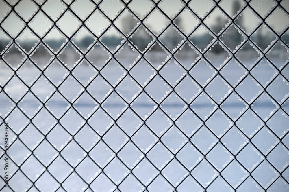 Fence with mesh netting covered with frost with blurred background Fence with mesh netting covered with frost with blurred background