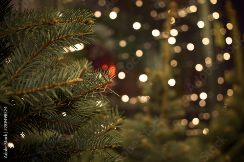 Christmas tree branches on a dark background with burning lights. Christmes background with bokeh