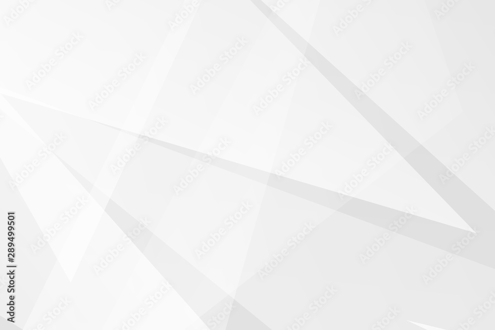 Fototapeta premium Abstract white and grey on light silver background modern design. Vector illustration EPS 10.