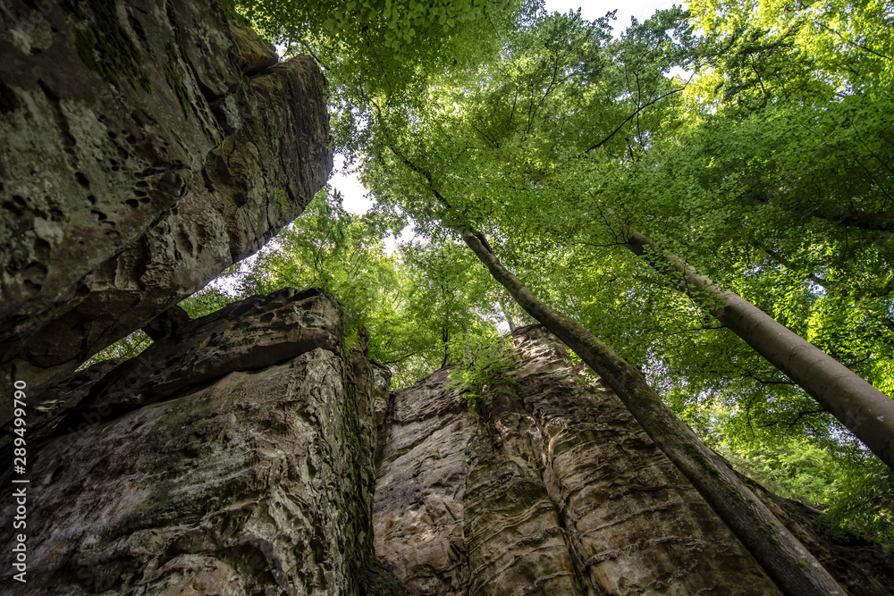 Naklejka premium Teufelsschlucht