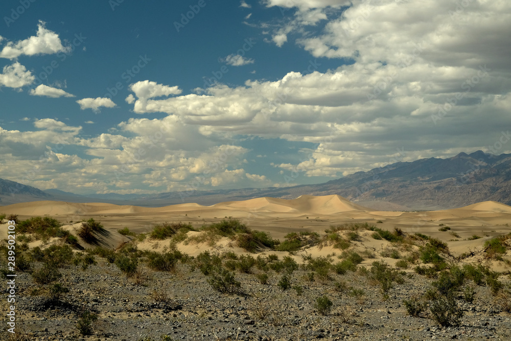 Sand dunes at Death Valley National Park