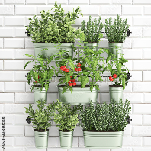 Decorative plants for the kitchen on railing in a bucket photo