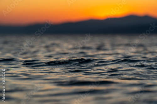 Macro sunset sea shot with strong depth of field