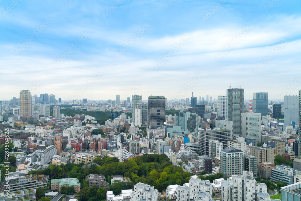 Fototapeta premium 東京風景