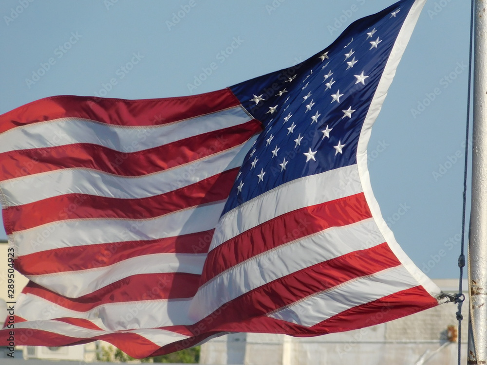 Fototapeta premium Flying Flag III