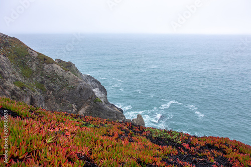 Ocean Cliff San Francisco