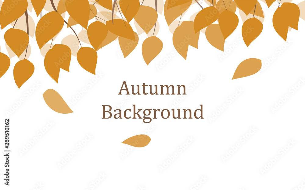 Autumn background with yellow falling leaves Autumn background with yellow falling leaves