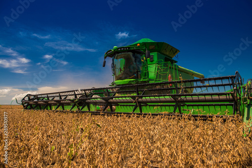 Agriculture, soybean harvest, high productivity, blue sky.