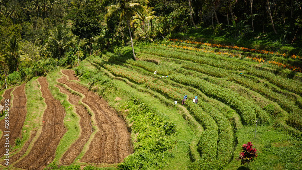 Bali Indonesien mit all seinen Facetten und Sehenswürdigkeiten Tempel und Wasserfall Bali Indonesien mit all seinen Facetten und Sehenswürdigkeiten Tempel und Wasserfall