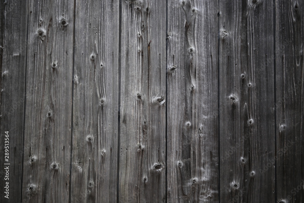 Fototapeta premium 素材