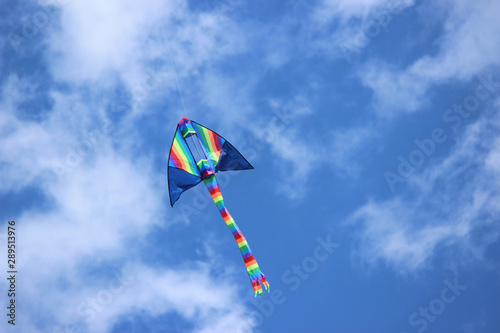 colorful kite in the sky