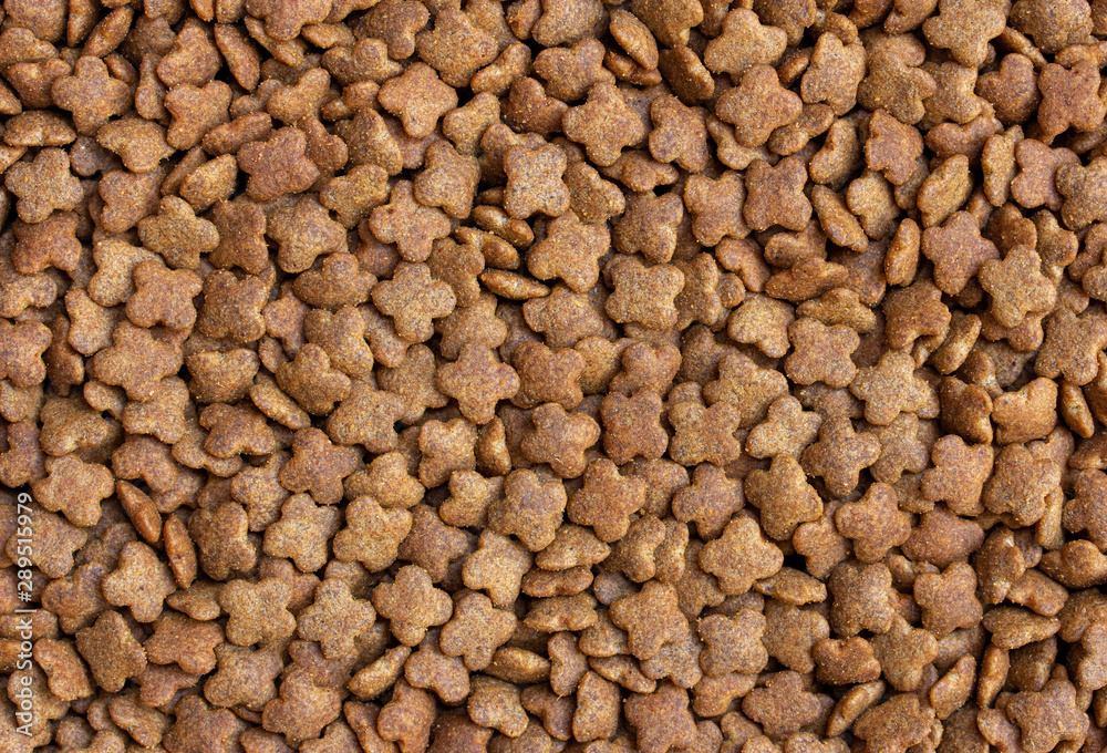 detail of dry dog food background detail of dry dog food background
