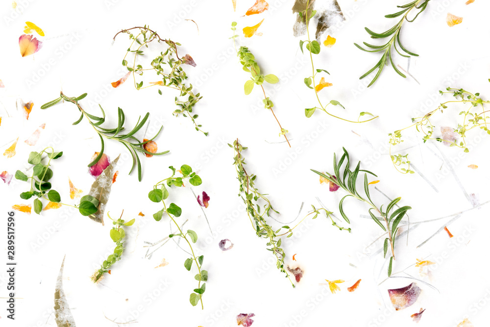 The herbs of Provence. Rosemary, oregano, thyme, and marjoram, shot from above on a background of dry leaves and petals - obrazy, fototapety, plakaty 