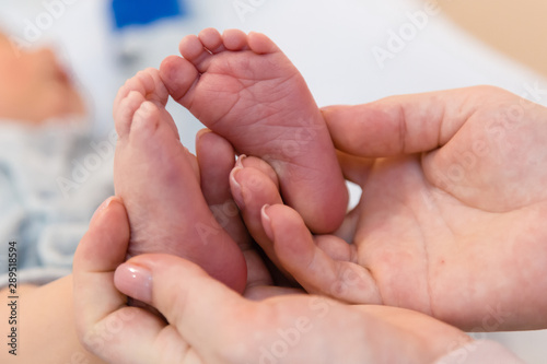 Newborns. Children's legs in the palm of your hand. Close-up.