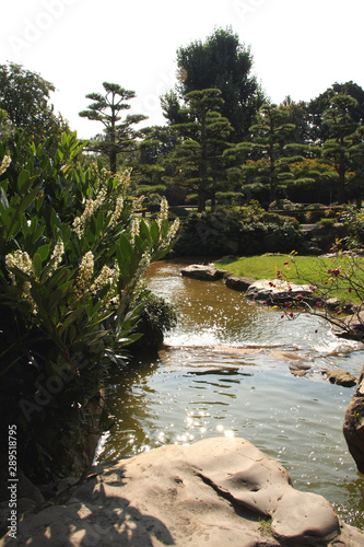 River in a park