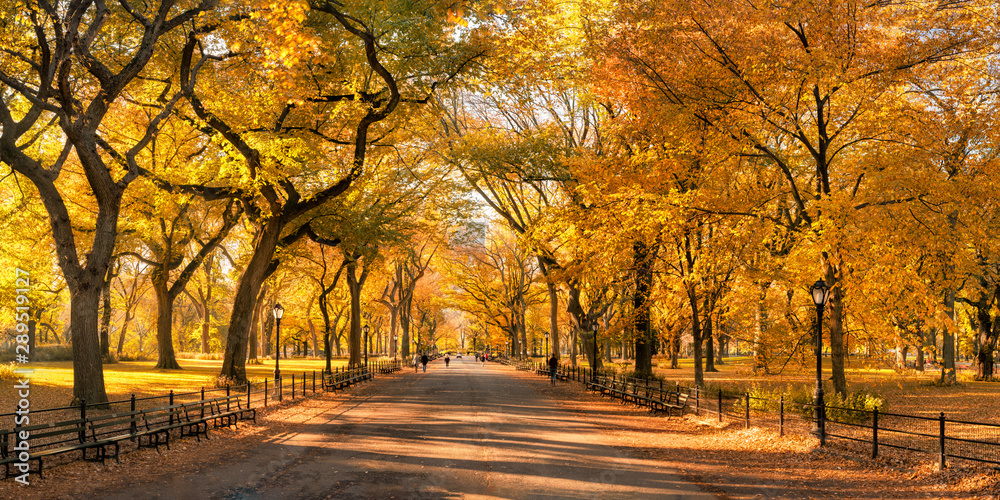 Beautiful autumn colors at the Central Park in New York City, USA
