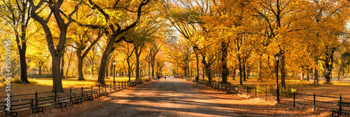 Central Park panorama in autumn, New York City, USA