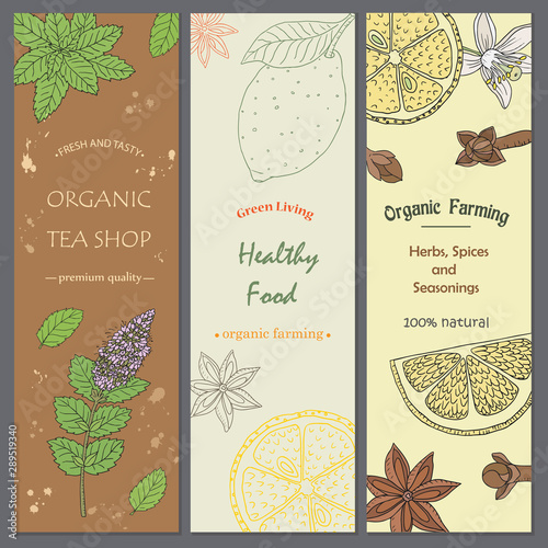 Tea collection.Vector hand drawn illustration of different ingredients for a nice tea drinking. Herbs, spices and fruits on flyer templates