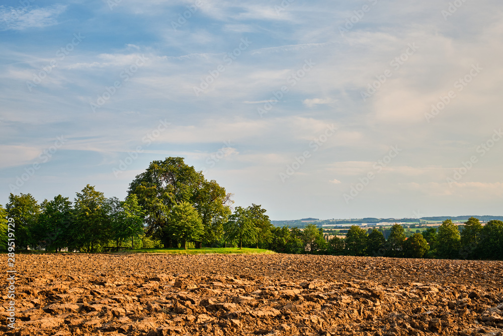 Obraz premium Brown field by trees at the edge of Prague