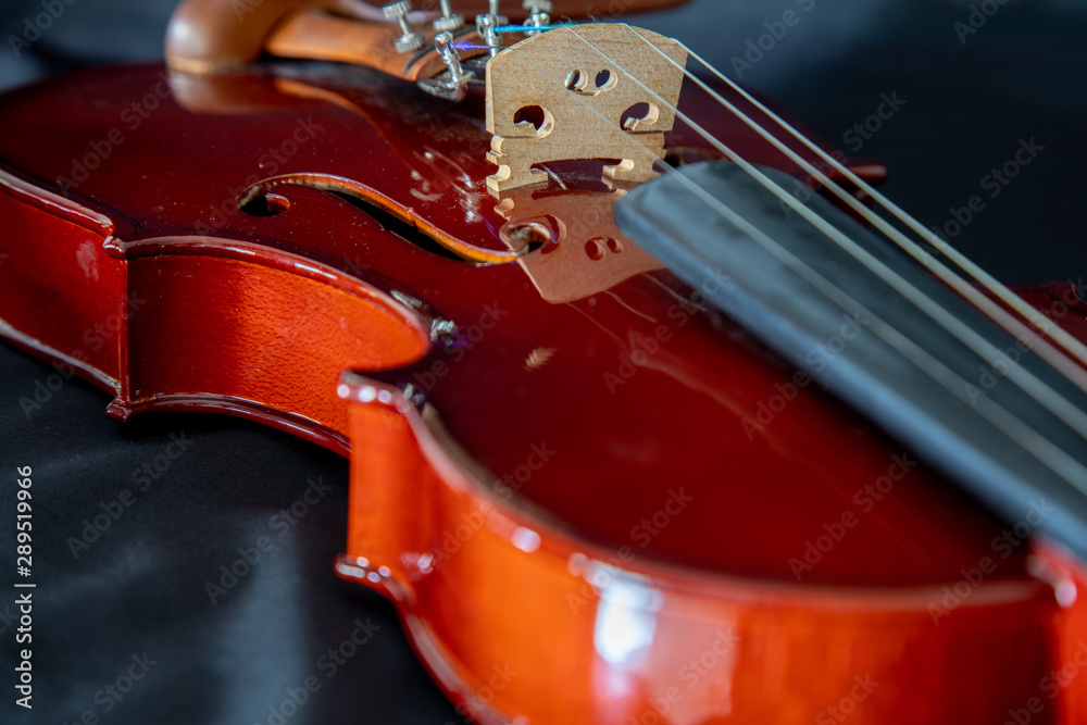 Fototapeta premium violin on black background