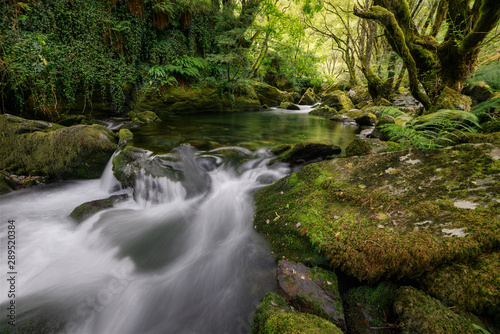 Pond Overflows between Mossy Rocks