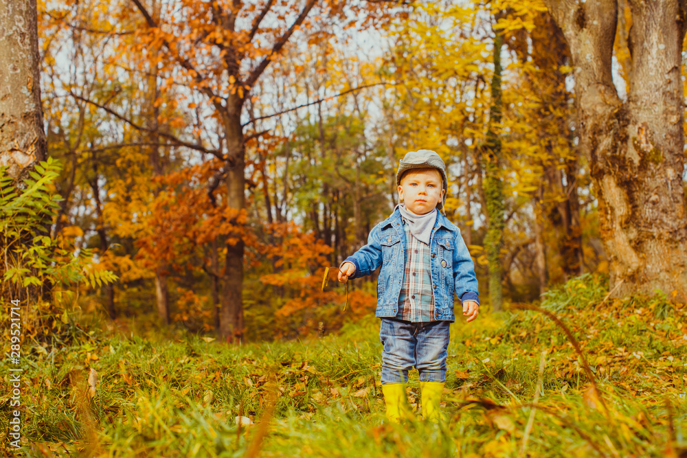 Little curious boy in check shirt on a walk in autumn park Little curious boy in check shirt on a walk in autumn park