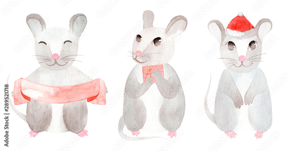 Cute watercolor christmas rats. Rat symbol of the new year 2020.