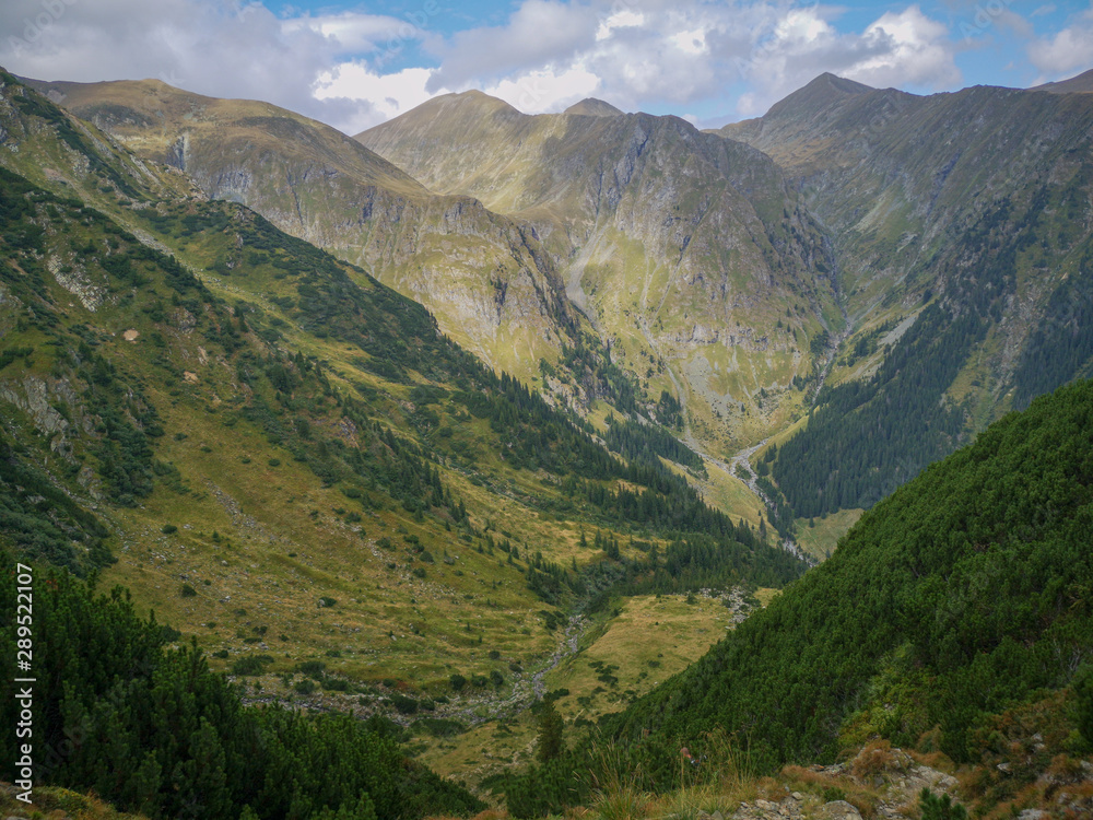 Mountain landscape with empty mountains in the distance and mountain vegetation in the foreground, Fagaras, Romania