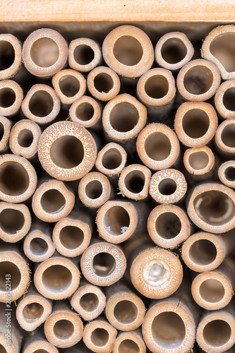 Bee hotel habitat boxes filled with hollow tubes