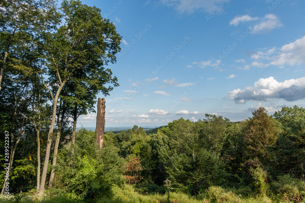 Beautiful Poconos vista in the summer, north eastern Pennsylvania