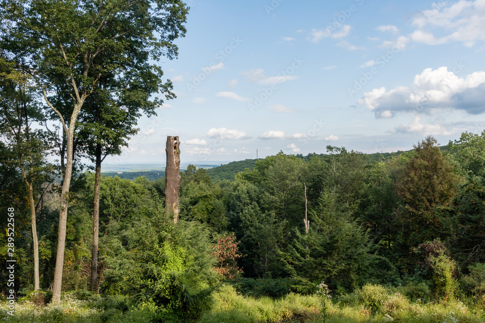 Beautiful Poconos vista in the summer, north eastern Pennsylvania Beautiful Poconos vista in the summer, north eastern Pennsylvania