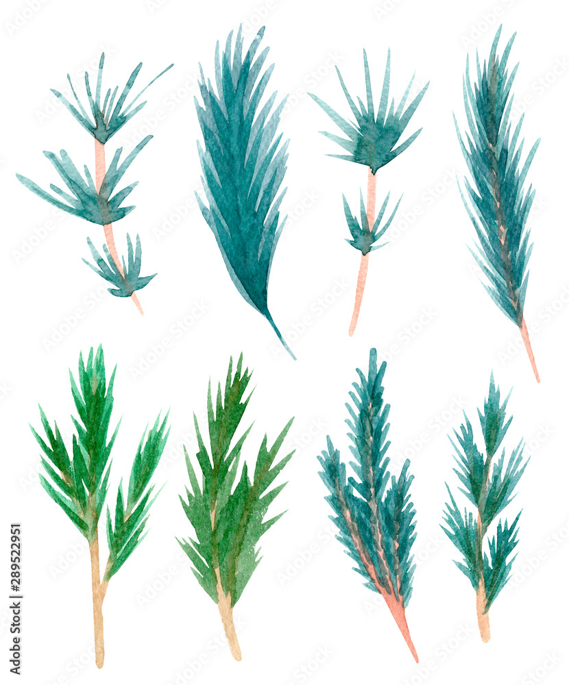 Obraz premium Hand painted watercolor pine clipart. Isolated on white background.