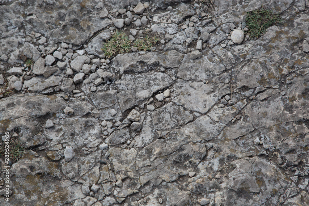 Felsen / Nahaufnahme