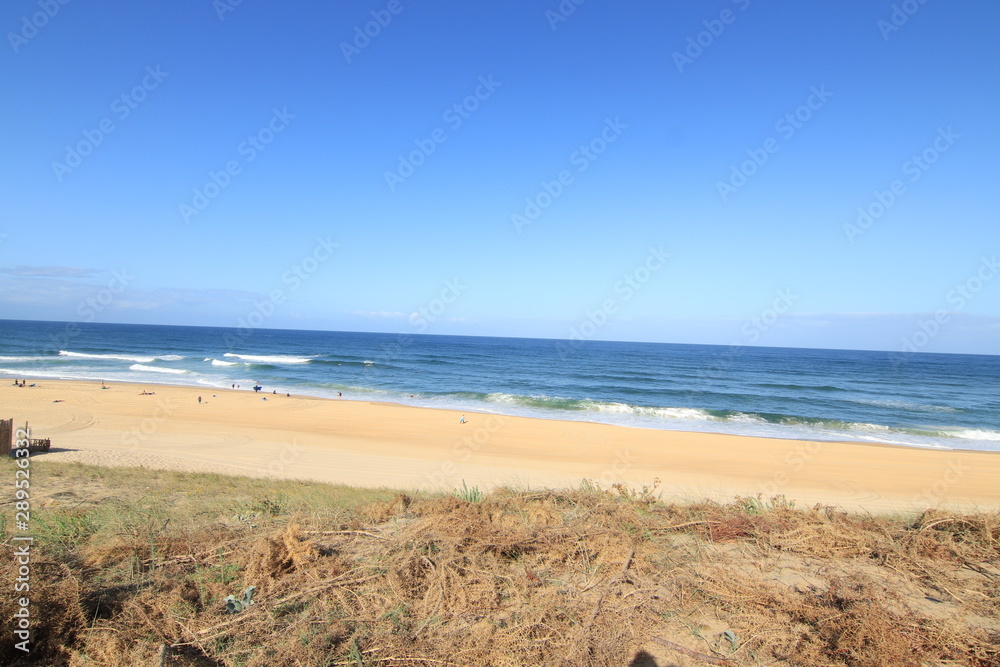 Surf Landak Surf Landak
