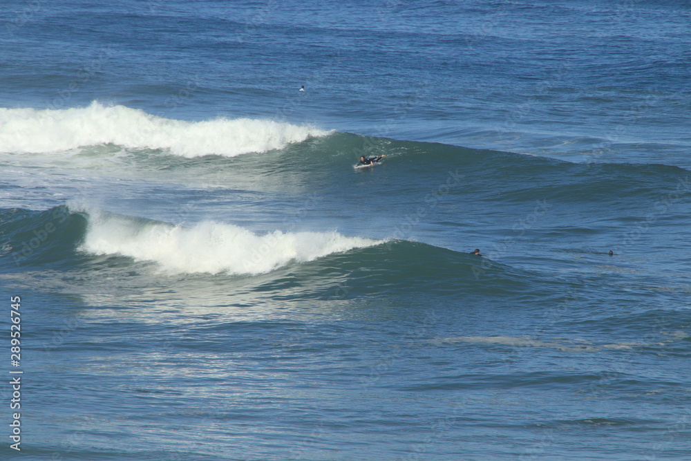 Surf Landak