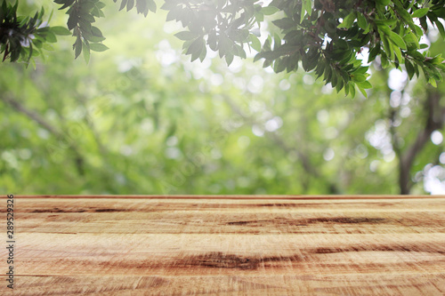 Wooden desk and blurred green nature in garden background. 