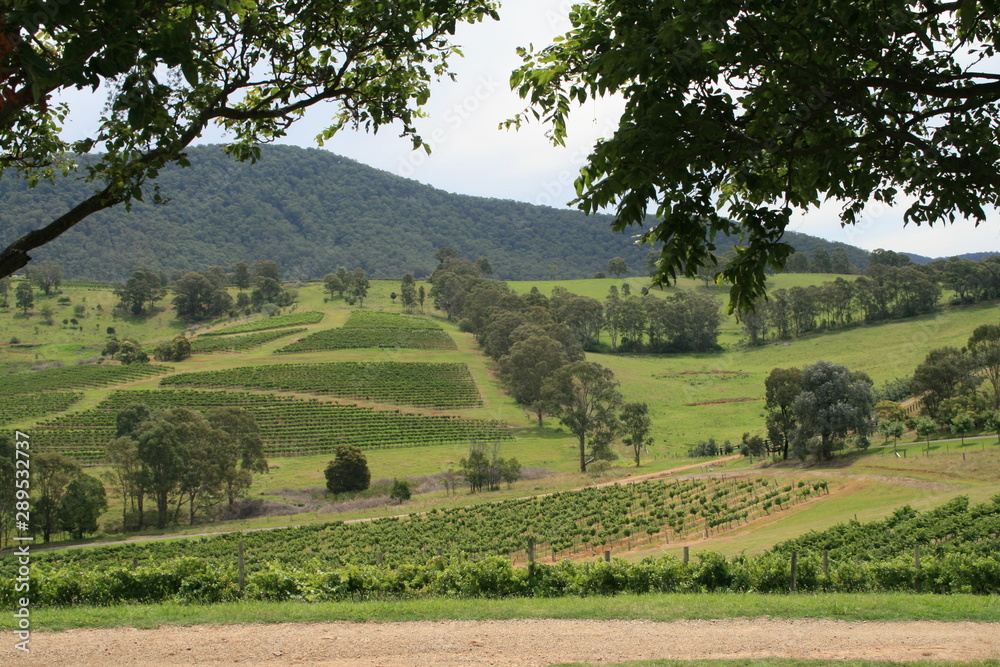 Winery in Australia