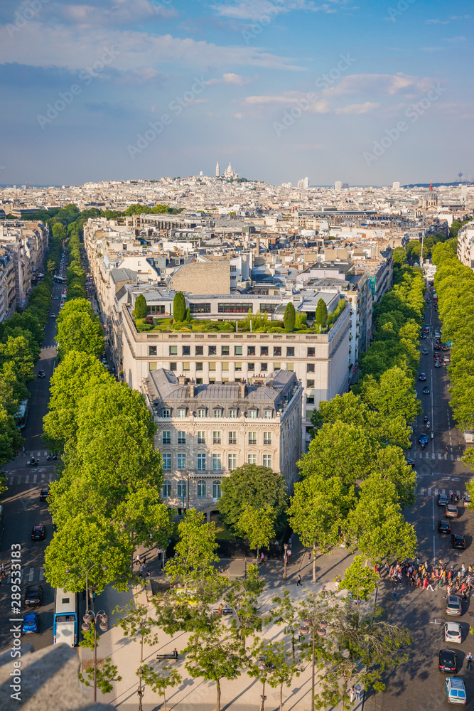 Paris skyline with typical Parisian Haussmannian buildings with the Montmartre hill in the background