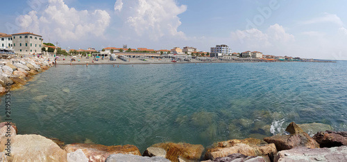 seaside and pines in cecina beach photo