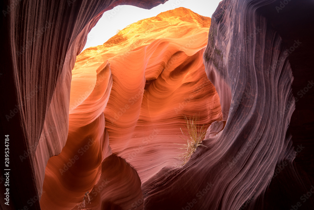 Obraz premium Slot Canyon, Page Arizona USA