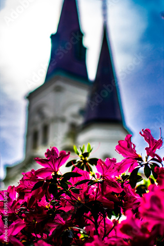 flowers in front on cathedral