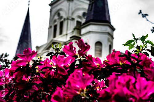 flowers in front of cathedral