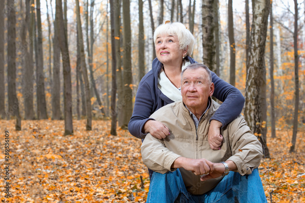 Happy senior couple sitting and smiling in an autumn park