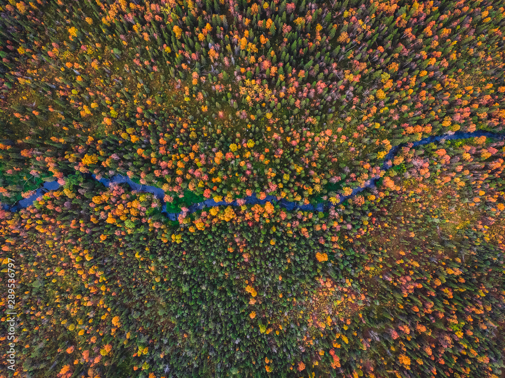 Autumn forest with yellow and red trees and blue river aerial view