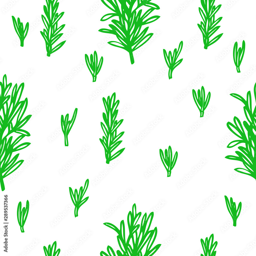 Vector illustration Culinary Herbs and Spices Rosemary Seamless pattern