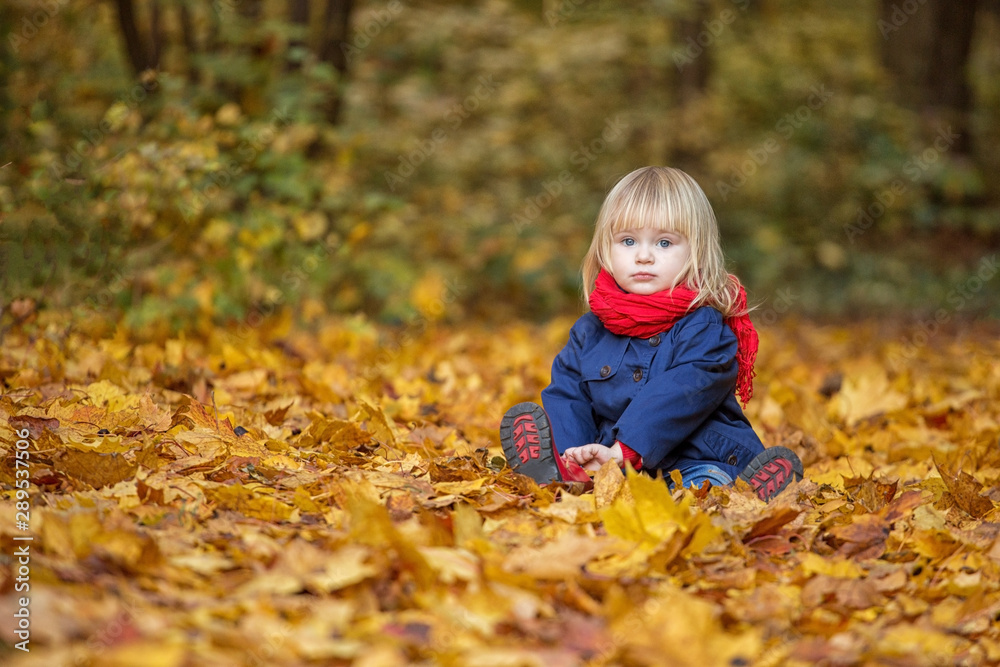 Autumn girl sitting in an autumn park. She looks at the viewer. Copy space. Autumn girl sitting in an autumn park. She looks at the viewer. Copy space.