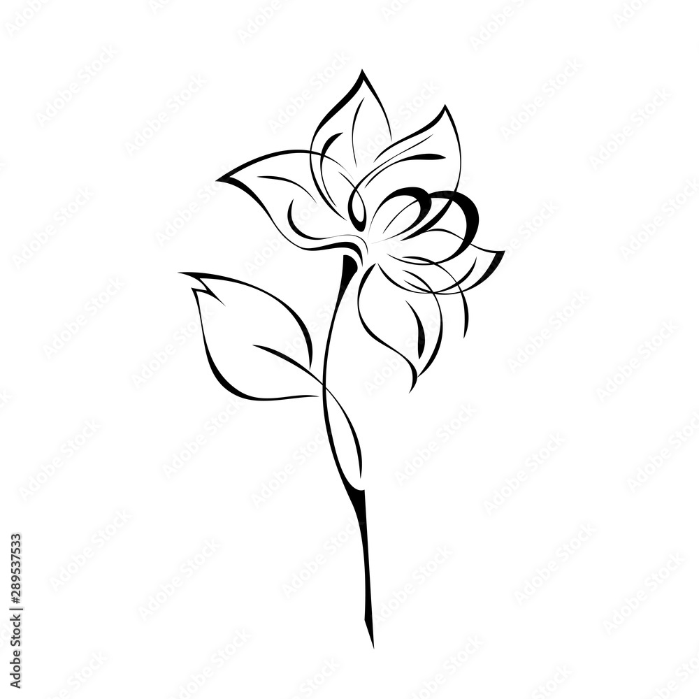 stylized flower on a stem with one leaf in black lines on a white background stylized flower on a stem with one leaf in black lines on a white background