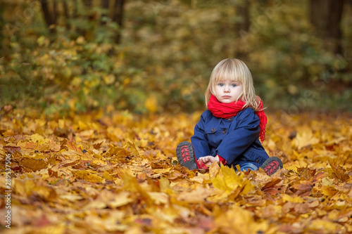 Autumn girl sitting in an autumn park. She looks at the viewer. Copy space.